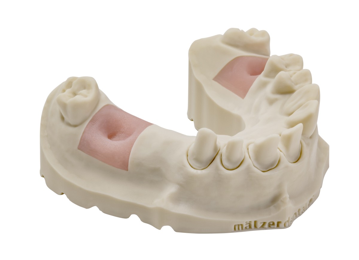 DIVARIO® 3D Model Dental-Resin