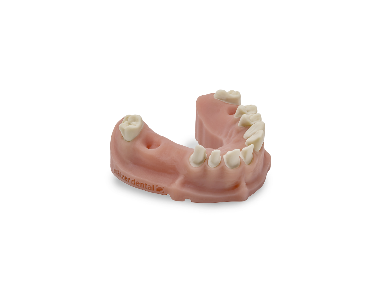 DIVARIO® 3D Model Dental-Resin, 1.000 g